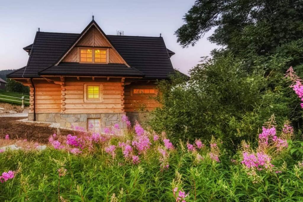 Willa Pitoniowka Z Sauna, Netflix Oraz Xbox One Kościelisko Exteriör bild